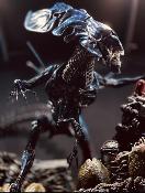 Queen Alien Battle Diorama 71 cm Aliens Premium Masterline Series statuette | Prime 1 Studio 