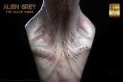 The Dulce Wars buste 1/1 Alien Grey 61 cm | ELITE CREATURE COLLECTIBLES