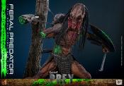 Prey figurine 1/6 Feral Predator (Battle Damaged Version) 37 cm | HOT TOYS