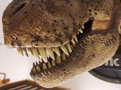 T-Rex Femelle 50 cm 1/5 Jurassic Park Buste | Chronicle Collectibles