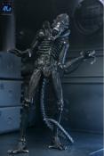 Aliens Figurine Ultimate Alien Warrior Black 40th Anniversary 23 cm | NECA