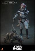 Star Wars: The Clone Wars figurine 1/6 Sergeant Hound 30 cm | HOT TOYS