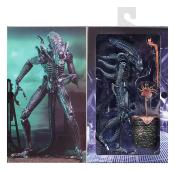 Aliens Figurine Ultimate Alien Warrior Blue 1986 23 cm | NECA