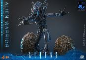 Aliens Alien Warrior V2 Deluxe Version MMS899 Figurine 1/6 39cm Hot Toys Movie Masterpiece Accessoires Bonus