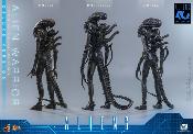 Aliens Alien Warrior V2 Deluxe Version MMS899 Figurine 1/6 39cm Hot Toys Movie Masterpiece Accessoires Bonus