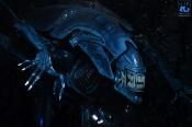 Aliens Figurine Alien Queen Deluxe 40th Anniversary | NECA