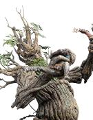 Le Seigneur des Anneaux statuette 1/6 Leaflock the Ent 76 cm | WETA