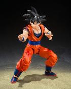 Dragon Ball Z figurine S.H.Figuarts Son Goku (The Kind-Hearted Saiyan) 14cm Bandai Tamashii Nations